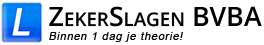 ZekerSlagen Logo